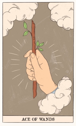 Ace of Wands